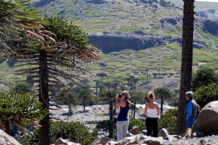 La Facultad de Turismo de la UNCo dictará una Maestría en Teorías y Políticas de la Recreación