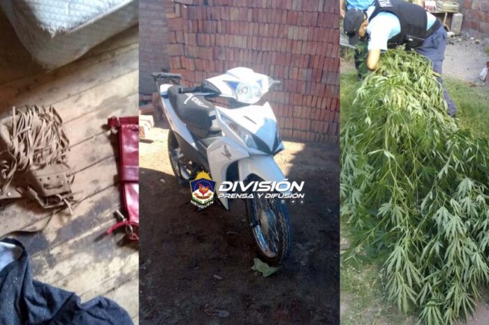 Allanamientos Positivos por numerosos casos de motochorros