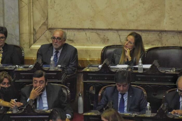 Bertoldi y Carnaghi participan en la sesión por el acuerdo con el FMI