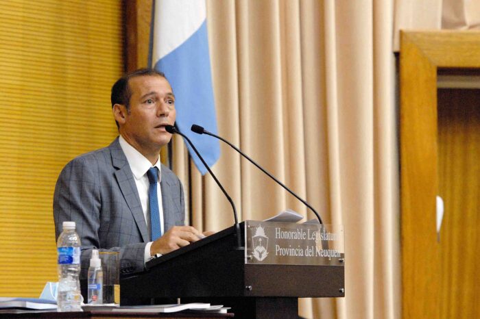 Proyectos presentados por el gobernador Omar Gutiérrez