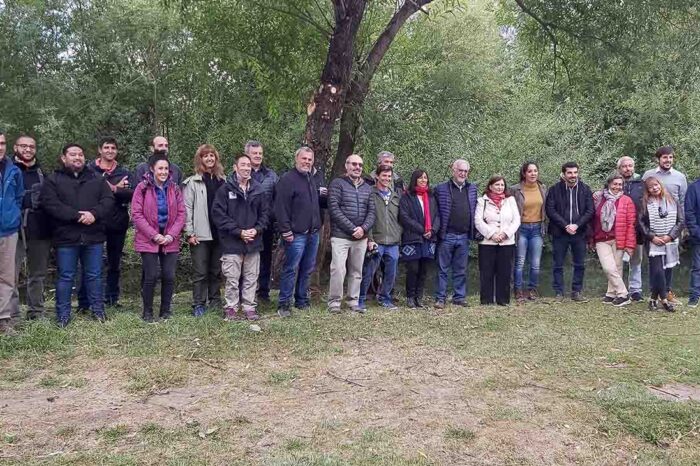 Junín de los Andes: Invertirán mas de 10 millones de pesos para el “Manejo de Sauces en el Río Chimehuín”