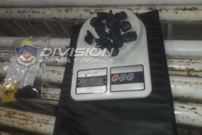 Secuestran droga que un joven pretendía ingresar a la Expo Plottier