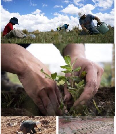 Curso de restauración ecológica en la #UNComa