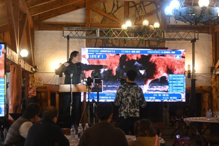 Excelentes precios y venta total de la hacienda ofertada en el Remate de Invernada de la Patagonia