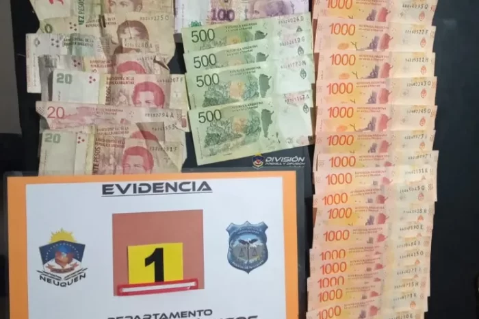 Delitos Económicos: Allanamiento por estafa y uso de inhibidores