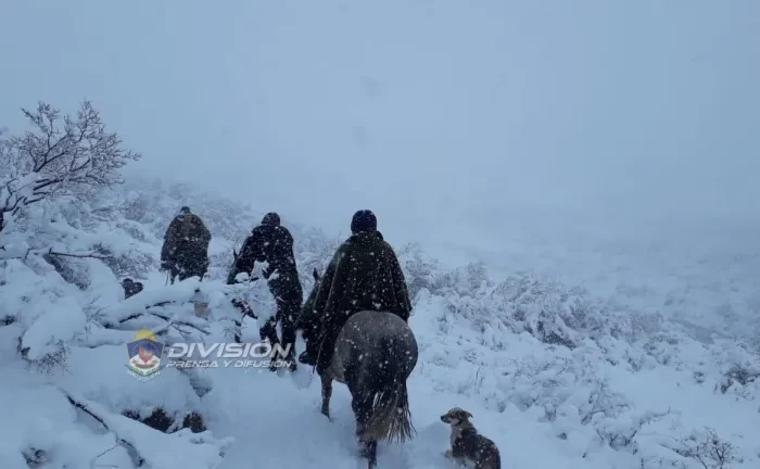 Tras tres días de búsqueda, en medio de la nieve y el temporal, fue exitosa la búsqueda de los crianceros extraviados