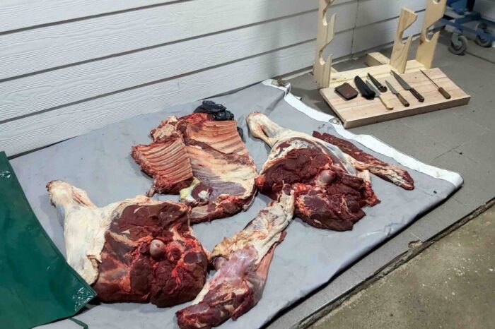 Junín de los Andes: Dos demorados transportando carne vacuna malhabida