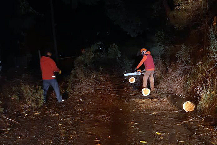 Protección Civil trabajó en el despeje de rutas y caminos en la madrugada de este sábado