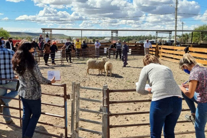 Se realizó la 12° Feria Integral de la Producción en Zapala