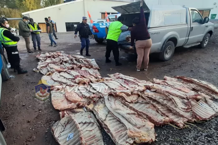 Decomisan gran cantidad de carne que era transportada de manera irregular