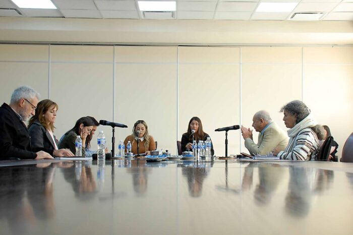 <strong>Despacho para que se interpreten los himnos en LSA en las escuelas de la provincia</strong>