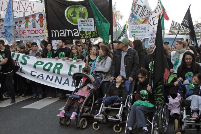 Ley de cannabis, un punto de partida
