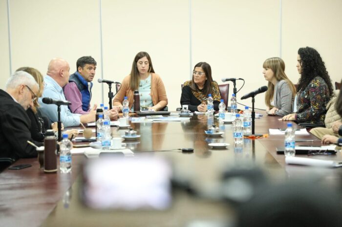 Impulsan la declaración de interés legislativo de las guías de COPADE