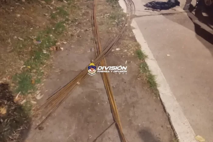 Trasladaban elementos de dudosa procedencia y uno de ellos tenía pedido de captura