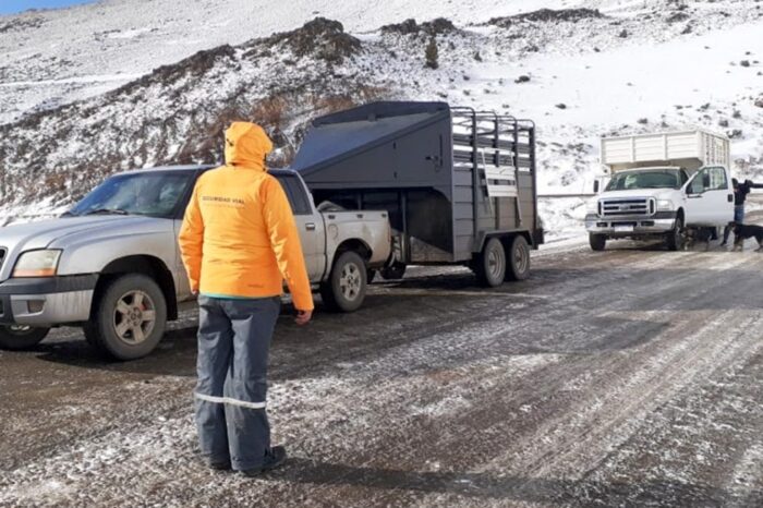 Por las nevadas en la cordillera, Seguridad Vial realizará prevención