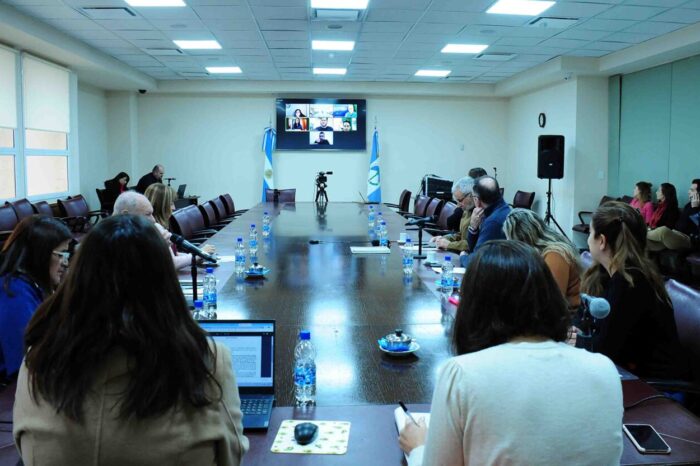 <strong>Despacho al proyecto que regula el funcionamiento de los museos en la provincia</strong>