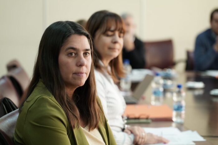 <strong>Un sueño que busca ser realidad: Las Ovejas Capital Provincial de la Cueca neuquina</strong>