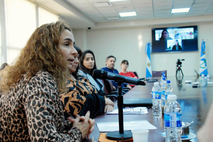 Avanza el Proyecto de Desarme para Agentes Denunciados por Violencia de Género