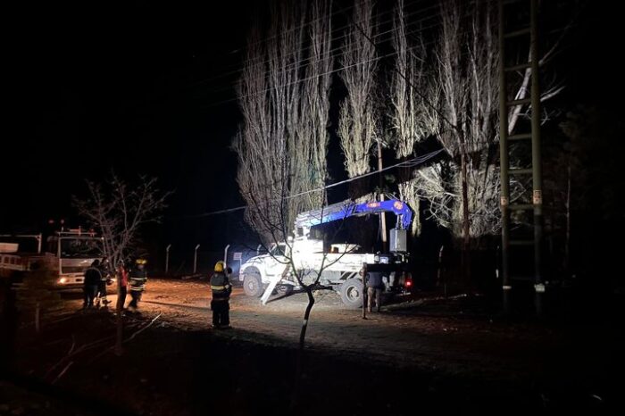 La caida de un gajo de álamo sobre la Línea de Alta Tensión dejó sin energía a Junín de los Andes y el área rural