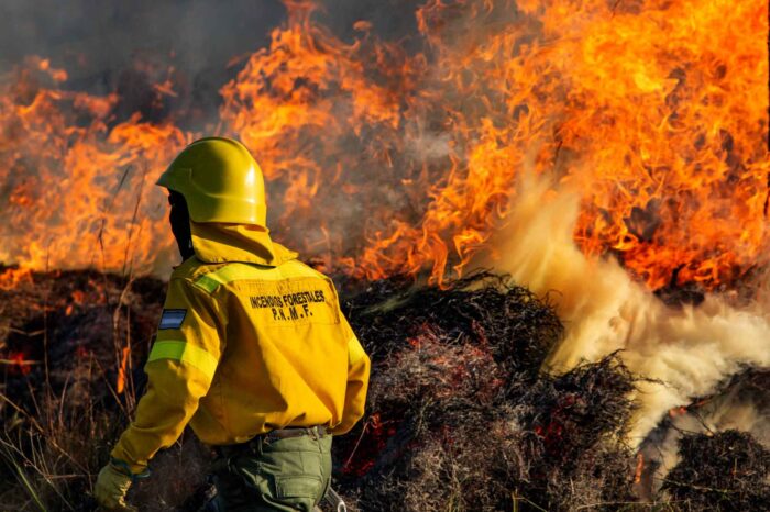Anunciaron una inversión de US$ 50 millones ante el inicio de la temporada de incendios