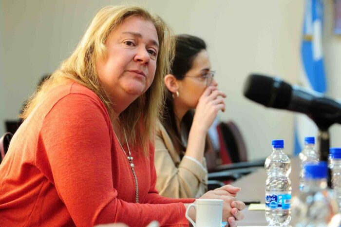 <strong>Consultan al Director del Hospital de Plottier por pedido de Centro de Salud en sector Oeste de Plottier</strong>