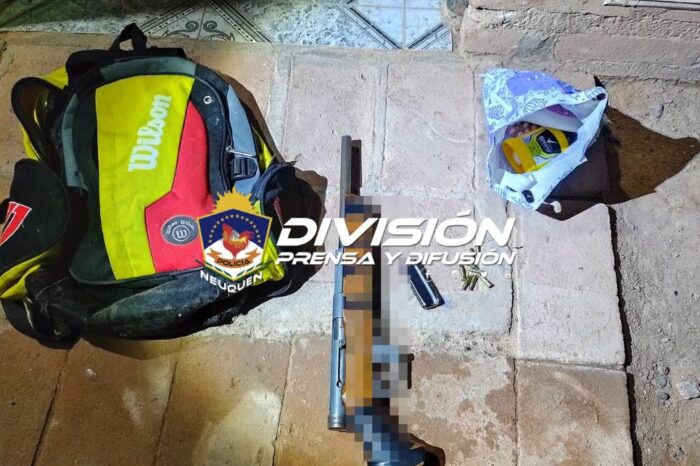 Rincón de los Sauces: Allanamiento por abuso de arma de fuego y amenazas
