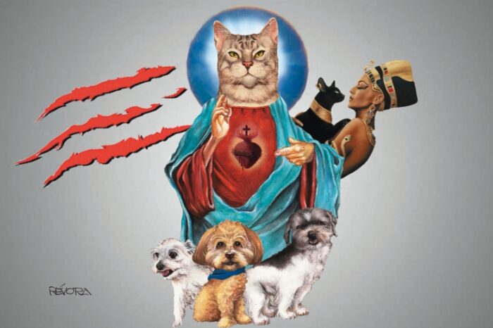 ¿Qué tiene un gato en la cabeza? Mitos y prejuicios bajo la lupa de la ciencia