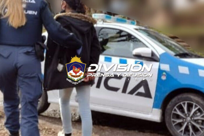 San Martín de los Andes: Allanamiento y demora de una mujer por presunto hurto de un celular en la vía publica