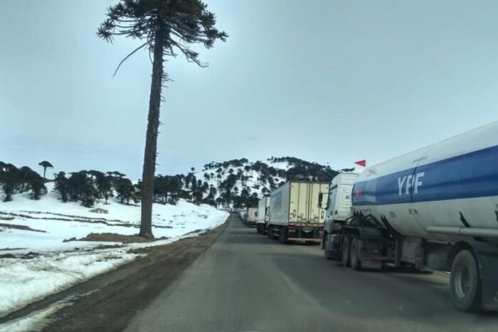Finalizó el operativo de traslado seguro de camiones hacia el paso Pino Hachado