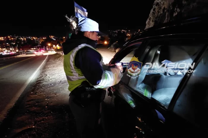 San Martín de los Andes: Continúan los operativos de control y verificación vehicular
