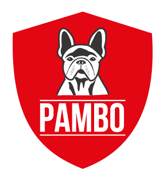 Entrenamiento positivo y cognitivo-emocional: Cómo desarrollar al máximo las capacidades de aprendizaje de tu perro