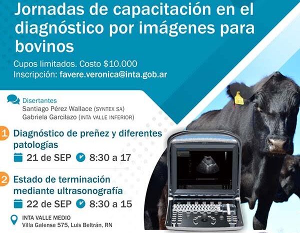 <strong>Jornadas de capacitación en el diagnóstico por imágenes en bovinos</strong>