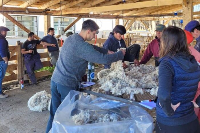 Capacitan en esquila y acondicionamiento en PROLANA y MOHAIR
