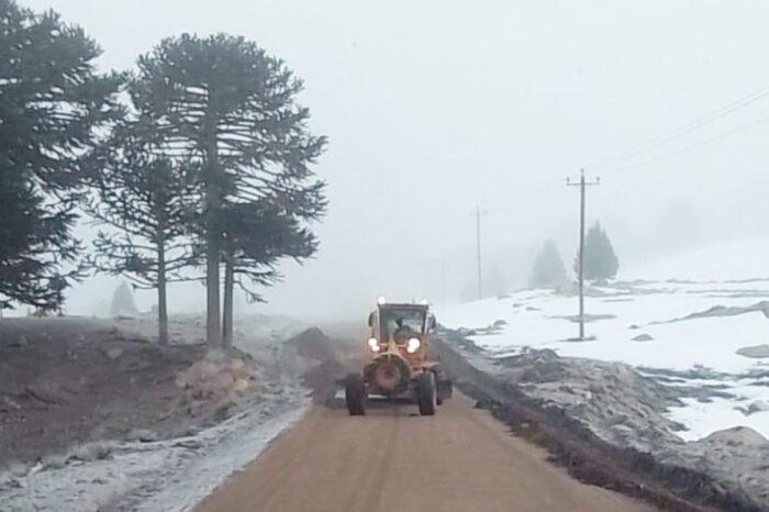 Realizan trabajos en rutas del Corredor Pehuén y del Sur de la provincia
