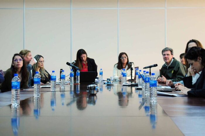 <strong>Despacho unánime al proyecto de ley de Educación Integral Ambiental</strong>