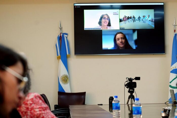 <strong>Educación debatió la implementación del Boleto Estudiantil Neuquino Gratuito</strong>