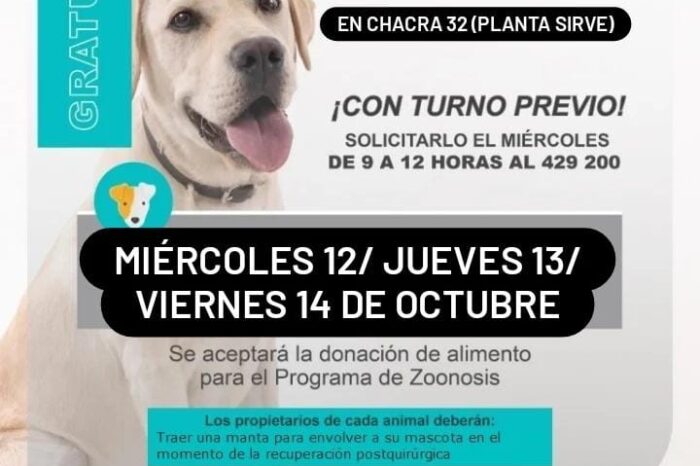Jornadas de castración canina: el Quirófano Móvil se instalará en Chacra 32 el 12, 13 y 14 de octubre