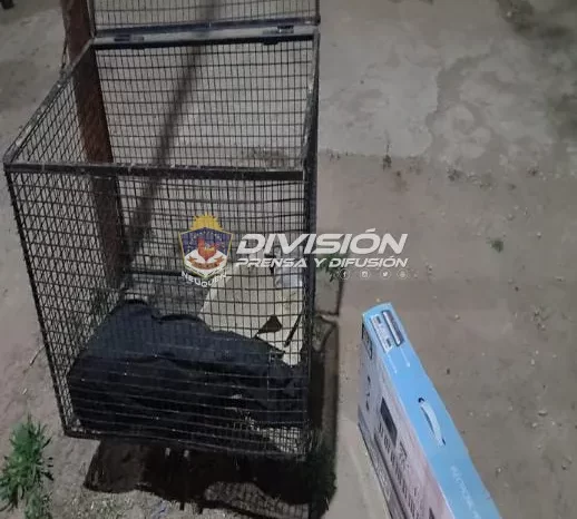 Un hombre y una mujer demorados por robo<br>Por Departamento Prensa