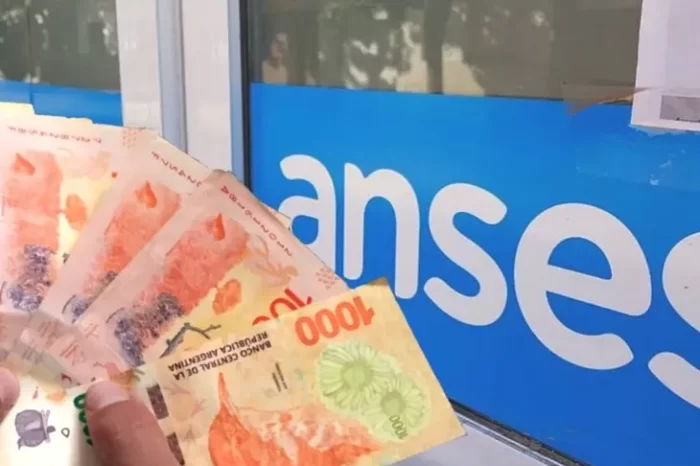 Bono IFE 5 de $50.000 de ANSES: qué se sabe hasta ahora
