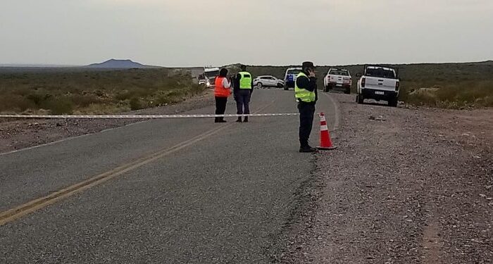 Un vecino de Rincón de los Sauces está grave y su hijo murió en un accidente en la ruta
