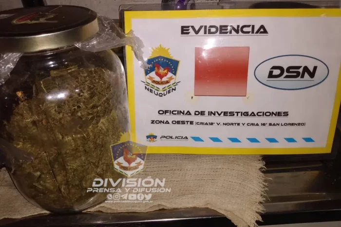Policías detienen a un malhechor y encentran estupefacientes, dinero infectivo, plantas de marihuana y otros elementos para la causa