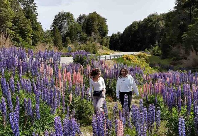 ¡Llegó la primavera a Villa La Angostura!