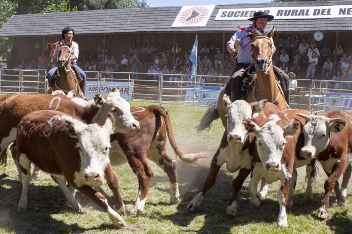 La Sociedad Rural de Neuquén lanza sus eventos ganaderos este jueves en Neuquén