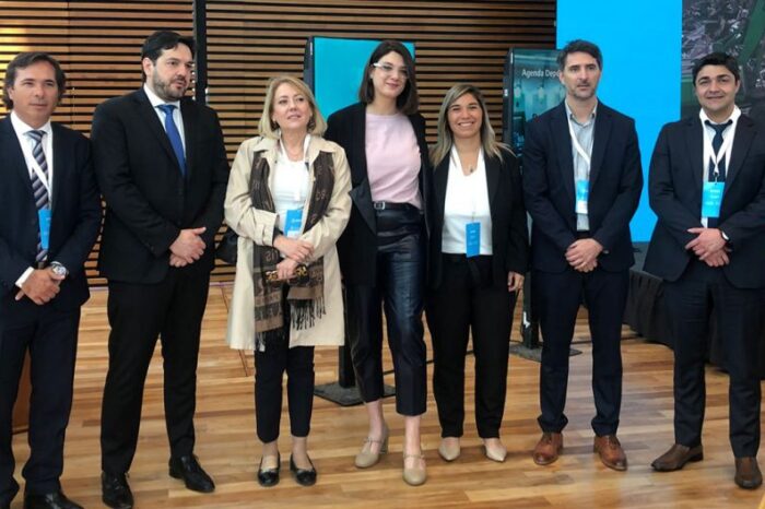 Neuquén participó del comité y consejo consultivo de control de armas de fuego