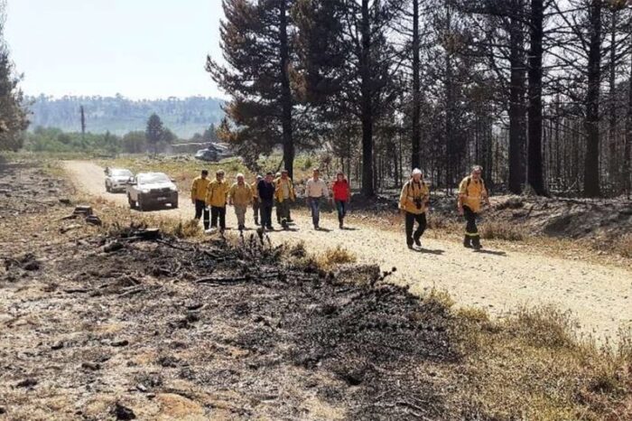 Declaran de interés federal ambiental el proyecto de restauración y rehabilitación de la integridad ecosistémica del bosque área Quillén