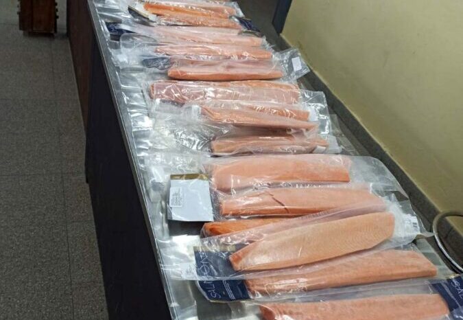 El Senasa evitó el ingreso de productos de la pesca provenientes de Chile no aptos para su consumo