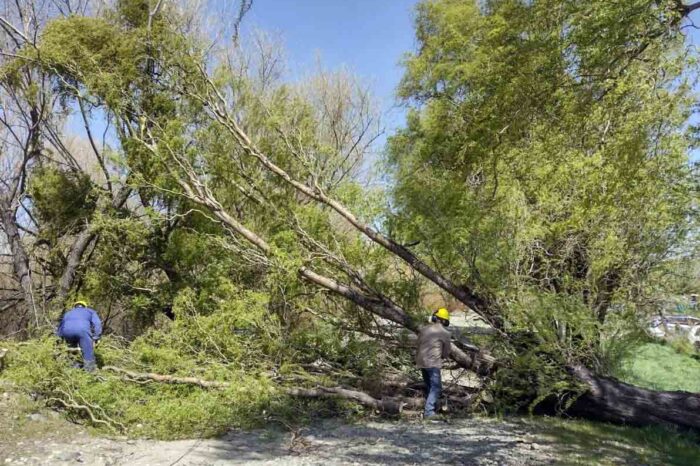 Graves destrozos fue el resultado del fuerte viento que azoto a la localidad hoy
