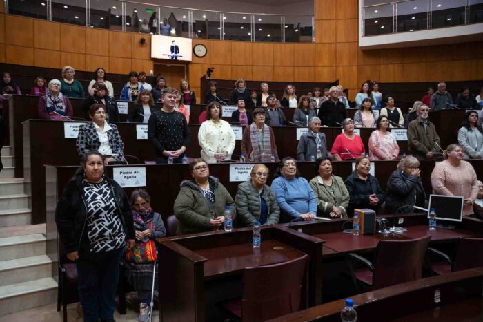 El Parlamento de Adultos Mayores Activos recibió a referentes de la región sur en su 4ta sesión especial
