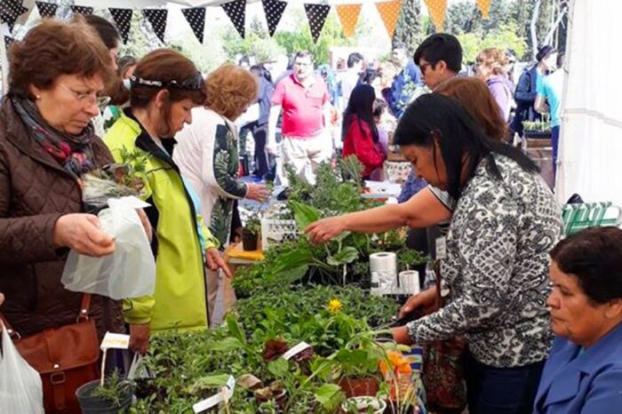 Proda cumple 20 años con la Feria de Agricultura Urbana y Venta de plantines