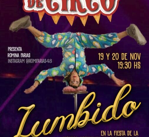 <strong>Habrá música en vivo y circo en la Fiesta de la Cerveza Artesanal del Sur Neuquino</strong>